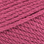 Raspberry (846)