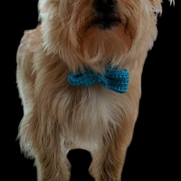 Simple Elegance Pet Bow Tie