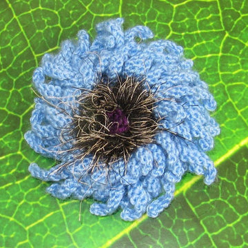 Garden Flower Collection