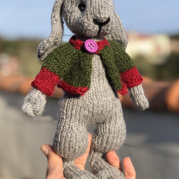 Bunny with Jacket