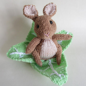Rabbit in the Lettuce Chocolate Orange Cover Easter