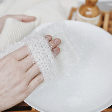 The Scrubby Kitchen Sponge
