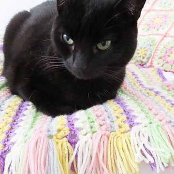 Baby Blanket