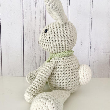 Bodhi the Rabbit