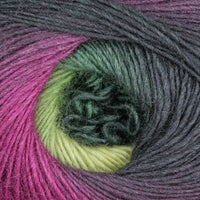 Winter Rose (120)