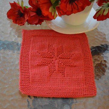 Dishcloth5