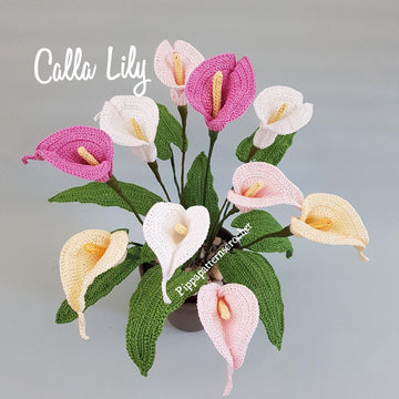 Calla Lily