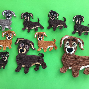 Dachshund