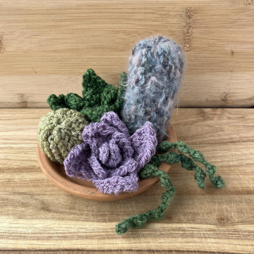 Squishy Succulents