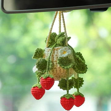 Strawberry Car Hanging Plant