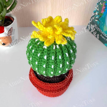 Cactus in a pot_5