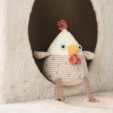 Stupid hen