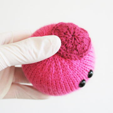 Stem Cell