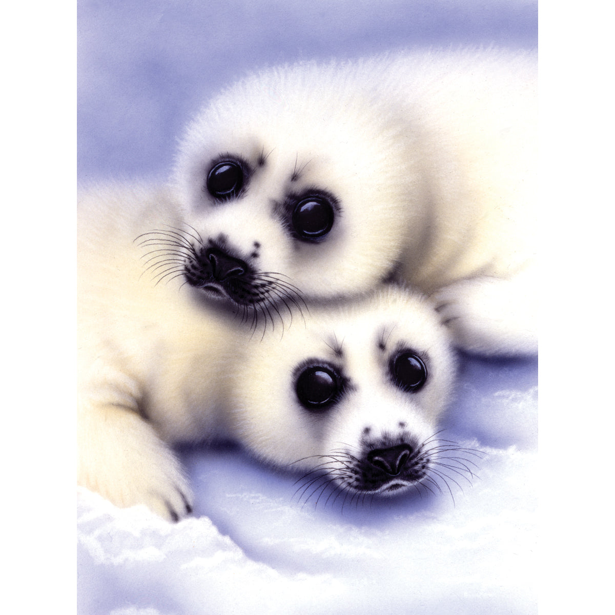 Royal Brush Junior Small Paint By Number Kit 8.75"X11.75" - Seal & Pup