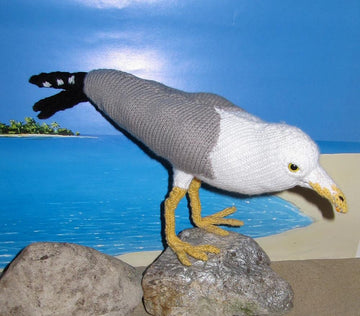 My Pet Seagull