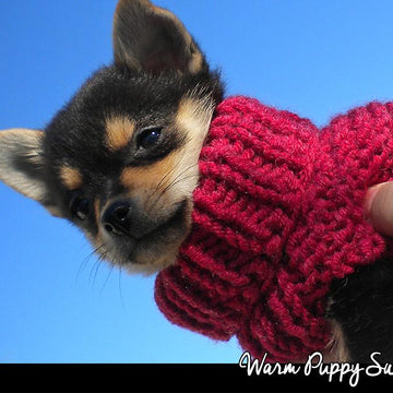 Warm Puppy Sweater