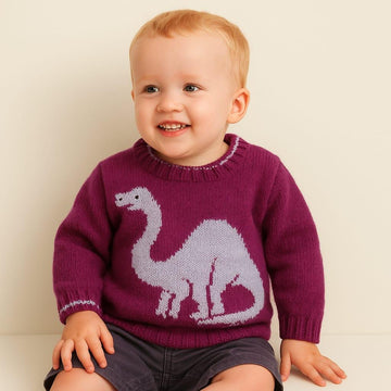 Dinosaur Sweater - Apatosaurus