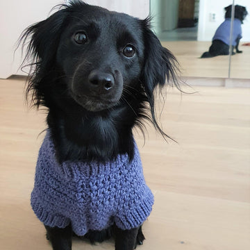 Nori dog sweater (S)