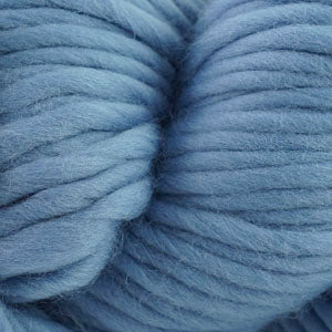 Blue Heron Blue (77)