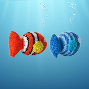 Clown Fish