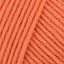 Coral (55)