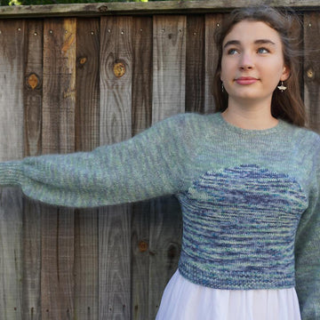 Dragonfly Jumper