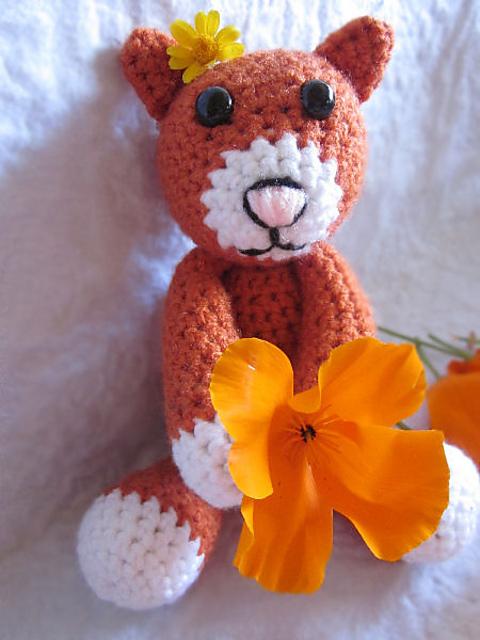 Peaches the Orange Cat