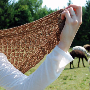 Aerie Shawlette