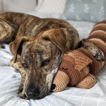Sleepy Boy Bolster Pillow