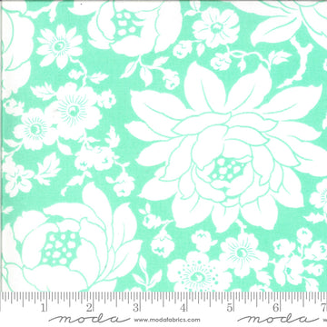 Moda Fabrics Shine On - 5521012