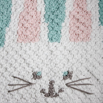 Bunny C2C Graphgan
