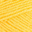 Sunflower (075)