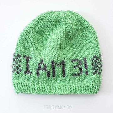 Adorable Any Age Birthday Hat