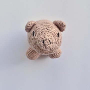 Mr Cerdito
