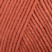 Persimmon (10610)