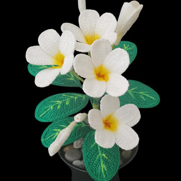 Crochet Plumeria flowers pattern