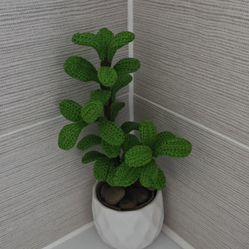 Crochet Jade plant pattern