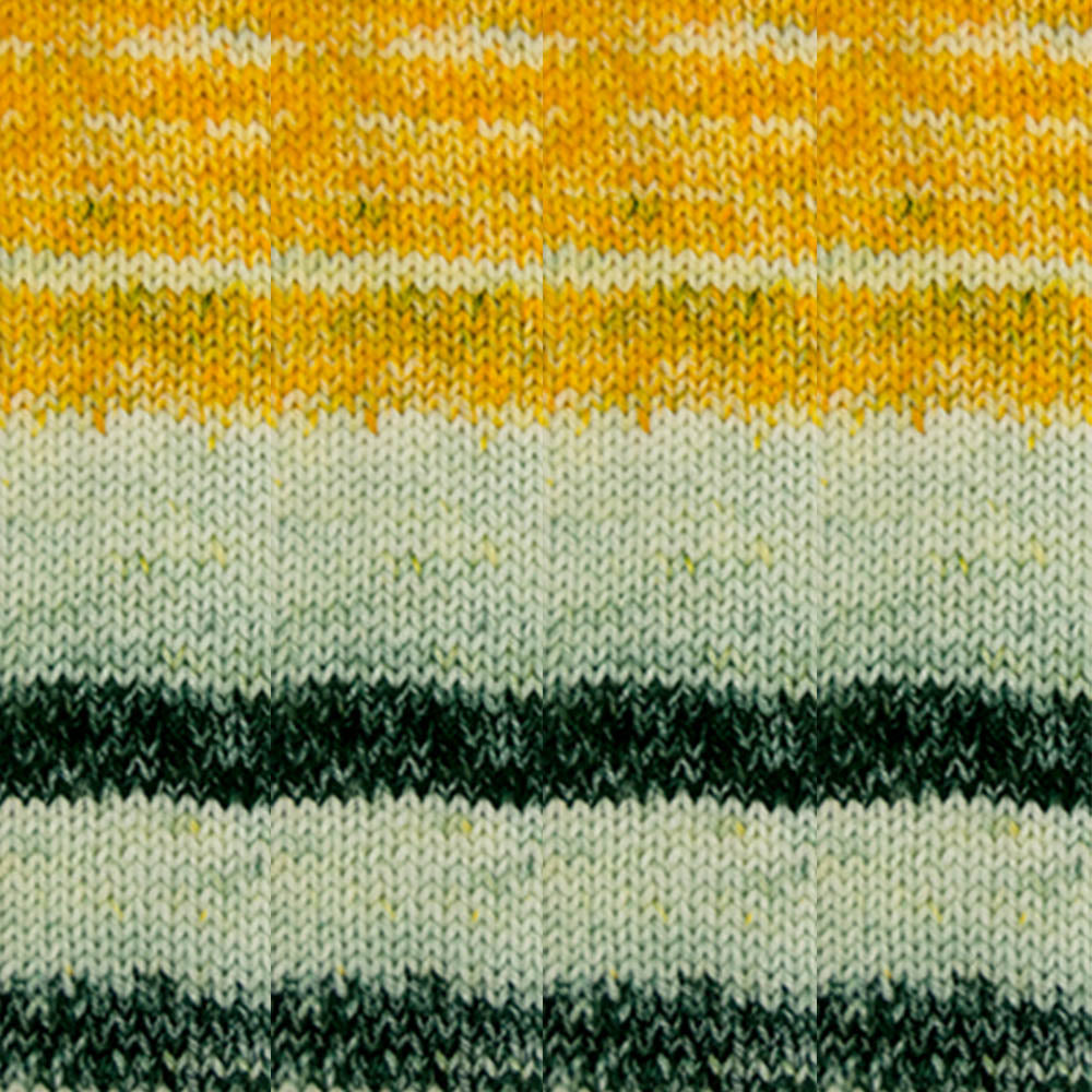 Cascade Yarns Anthem Chords