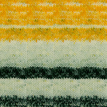 Cascade Yarns Anthem Chords
