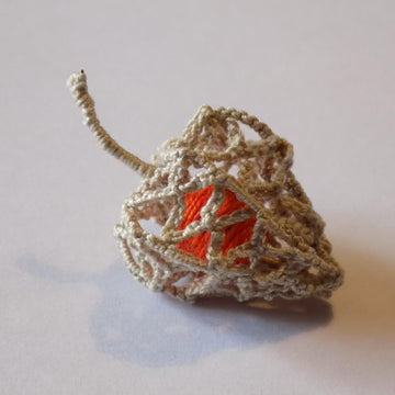 Physalis (Chinese lantern)
