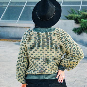 Scorpio Raglan