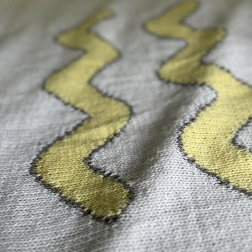 Aquarius baby blanket