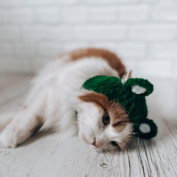 Pets balaclava