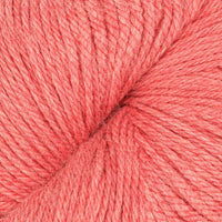 Guava (21193)