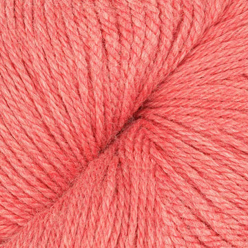 Guava (21193)
