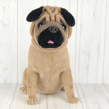 Pug Puppy