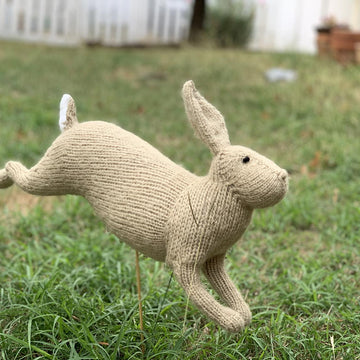 McGregor's Rabbit