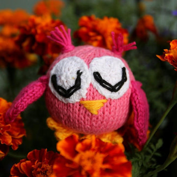 Owl my gosh