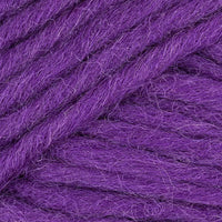 Aubergine (17)