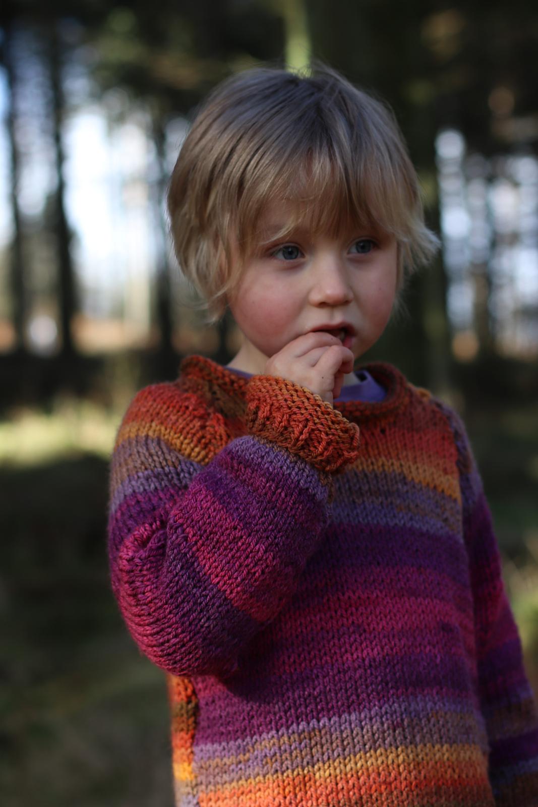 Playtime Sweater